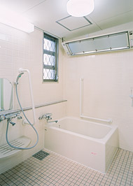 ��ʗ����̎ʐ^